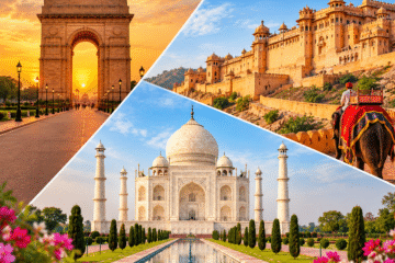 3 Days Golden Triangle Tour