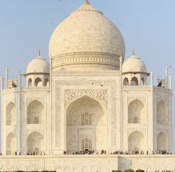 about-side-image