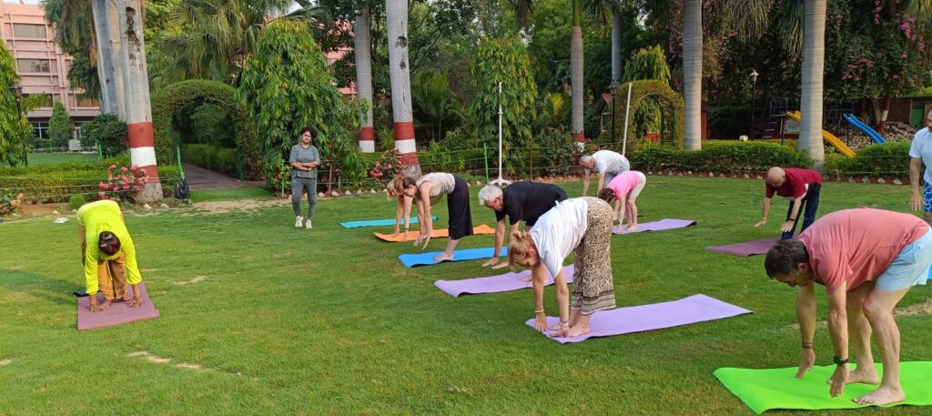 Yoga Tour in India 
